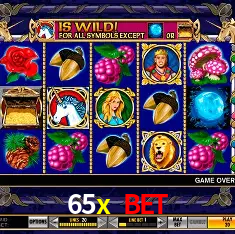 65x bet Rio de Janeiro - Bonus Terms